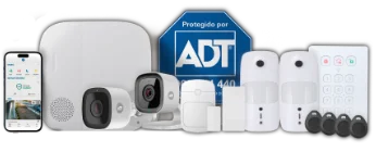 bodegon adt